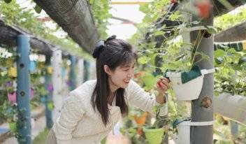 壹直播｜拥有107个草莓品种！记者探访世界单体面积最大草莓园